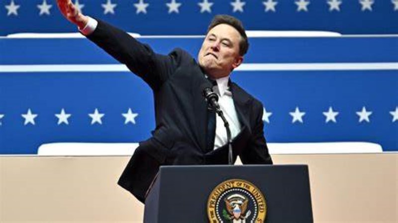 Musk's First 100 Days in Washington
